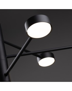 Потолочный светильник Freya FR5363CL-06B-foto9