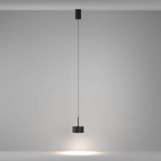 Подвесной светильник Technical P102PL-12W4K-B-foto4