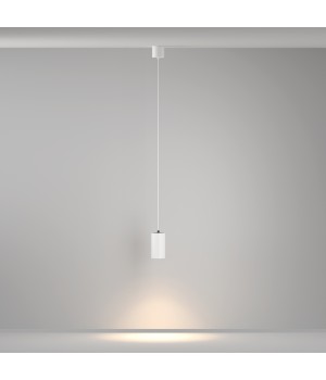 Подвесной светильник Technical P100PL-20W3K-W-foto4