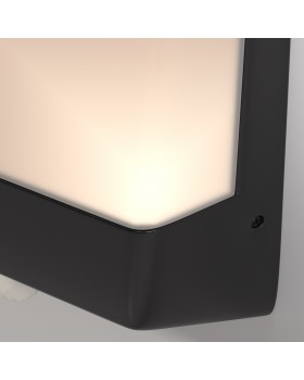 Настенный светильник (бра) Outdoor O448WL-L9GF3KSR-foto3