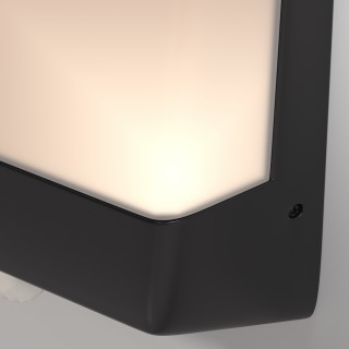 Настенный светильник (бра) Outdoor O448WL-L9GF3KSR-foto3