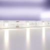 Светодиодная лента Led Strip 10164