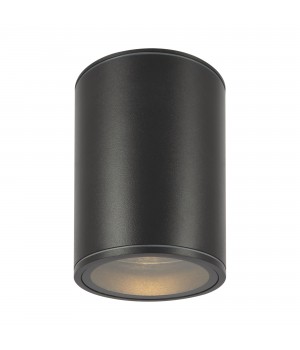 Потолочный светильник Outdoor O306CL-L7GF-foto6