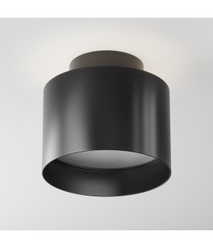 Потолочный светильник Technical C009CW-L12B4K-foto3