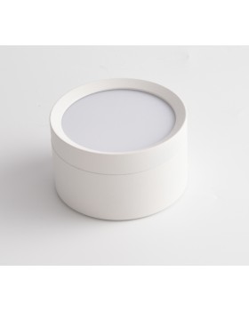 Потолочный светильник Technical C086CL-GX53-SRD-W-foto2