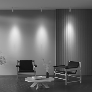 Потолочный светильник Technical C055CL-L12W4K-Z-W-foto6