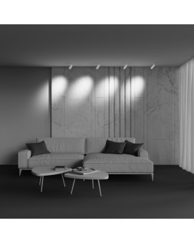 Трековый светильник Technical TR211-1-12W3K-Z-W-foto6