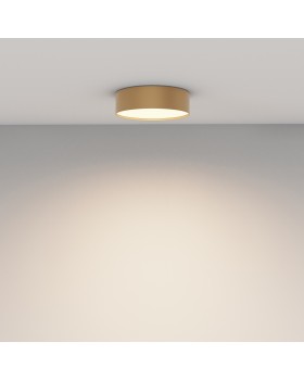 Потолочный светильник Technical C032CL-24W3K-RD-MG-foto11