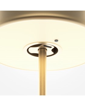 Аккумуляторный светильник Maytoni MOD229TL-L3G3K2-foto4