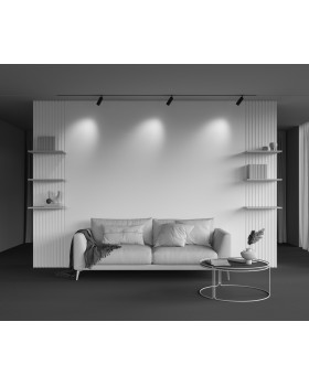 Трековый светильник Technical TR097-2-12W4K-M-BB-foto5