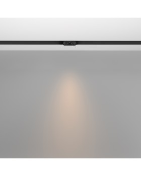 Трековый светильник Technical TR100-2-2W3K-S-B-foto3