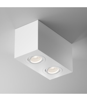 Потолочный светильник Technical C017CL-02W-foto4