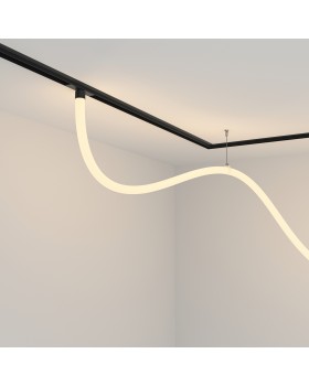 Трековый подвесной светильник Technical TR101-2-50W3K-B-foto2