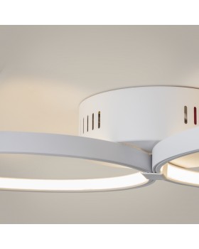 Потолочный светильник Maytoni MOD448CL-L40WK-foto6