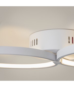 Потолочный светильник Maytoni MOD448CL-L40WK-foto6