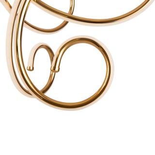 Потолочный светильник Freya FR6044CL-L114G-foto3