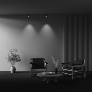 Потолочный светильник Technical C056CL-L12W4K-W-BS-foto5