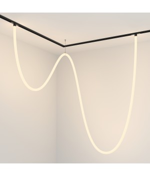 Трековый подвесной светильник Technical TR101-2-100W3K-B-foto4