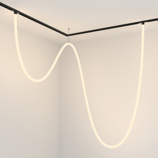 Трековый подвесной светильник Technical TR101-2-100W3K-B-foto4