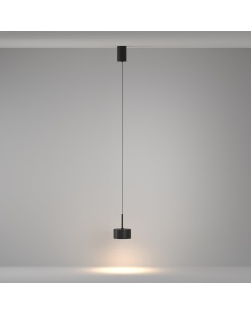 Подвесной светильник Technical P102PL-12W3K-B-foto4