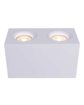 Потолочный светильник Technical C013CL-02W-foto4