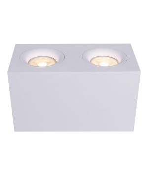 Потолочный светильник Technical C013CL-02W-foto4