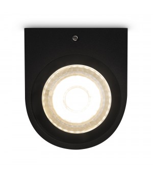 Настенный светильник (бра) Outdoor O044WL-02B-foto4