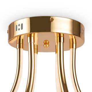 Потолочный светильник Freya FR6044CL-L114G-foto5