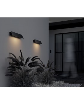 Настенный светильник (бра) Outdoor O429WL-L10GF3K-foto6