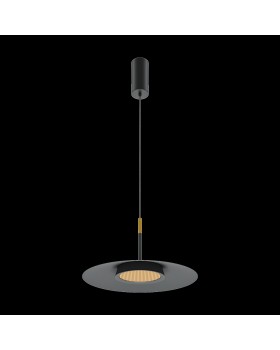 Подвесной светильник Maytoni MOD041PL-L15B3K1-foto3