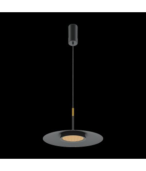 Подвесной светильник Maytoni MOD041PL-L15B3K1-foto3