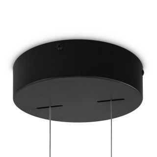 Подвесной светильник Maytoni MOD163PL-L38B4K-foto5