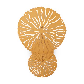 Настенный светильник (бра) Maytoni MOD082WL-01G-foto4