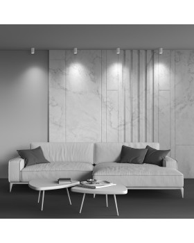 Потолочный светильник Technical C029CL-01-S-W-foto2