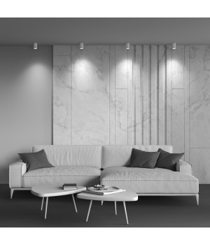 Потолочный светильник Technical C029CL-01-S-W-foto2