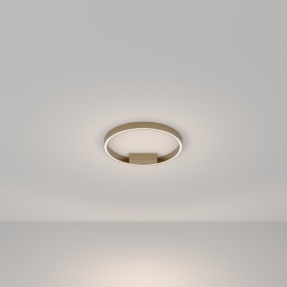 Потолочный светильник Maytoni MOD058CL-L25BSK-foto4