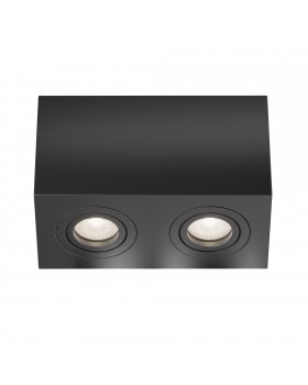 Потолочный светильник Technical C017CL-02B-foto2