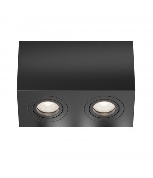 Потолочный светильник Technical C017CL-02B-foto2