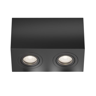 Потолочный светильник Technical C017CL-02B-foto2