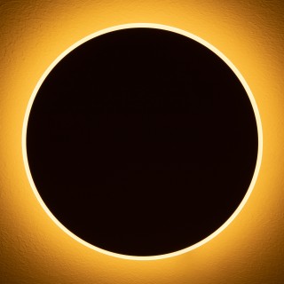 Настенный светильник (бра) Freya FR6002WL-L20W-foto7