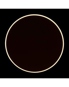 Настенный светильник (бра) Freya FR6002WL-L20W-foto10