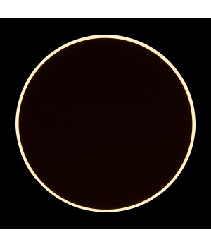 Настенный светильник (бра) Freya FR6002WL-L20W-foto10