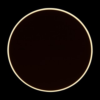 Настенный светильник (бра) Freya FR6002WL-L20W-foto10