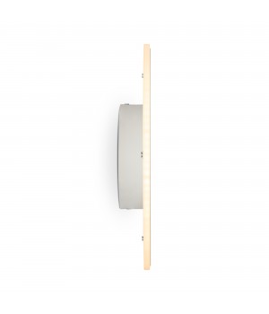 Настенный светильник (бра) Freya FR6002WL-L20W-foto3