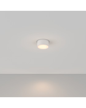 Потолочный светильник Technical C032CL-12W3K-RD-W-foto2