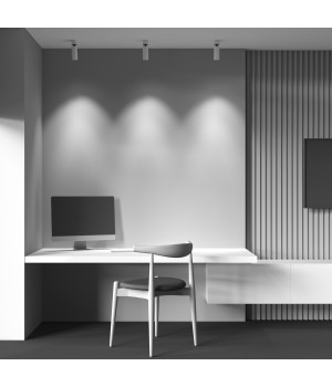 Потолочный светильник Technical C055CL-L12W3K-W-W-foto3