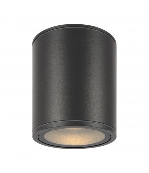 Потолочный светильник Outdoor O306CL-L12GF-foto5