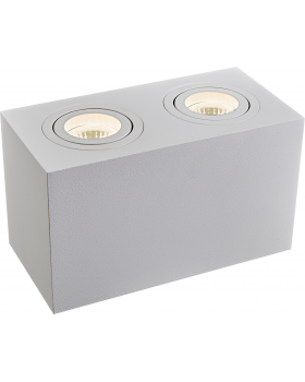 Потолочный светильник Technical C017CL-02W-foto5