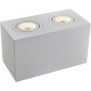 Потолочный светильник Technical C017CL-02W-foto5