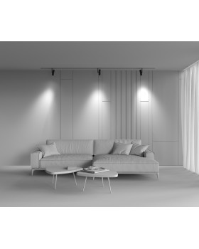 Трековый светильник Technical TR005-2-12W3K-B-foto8